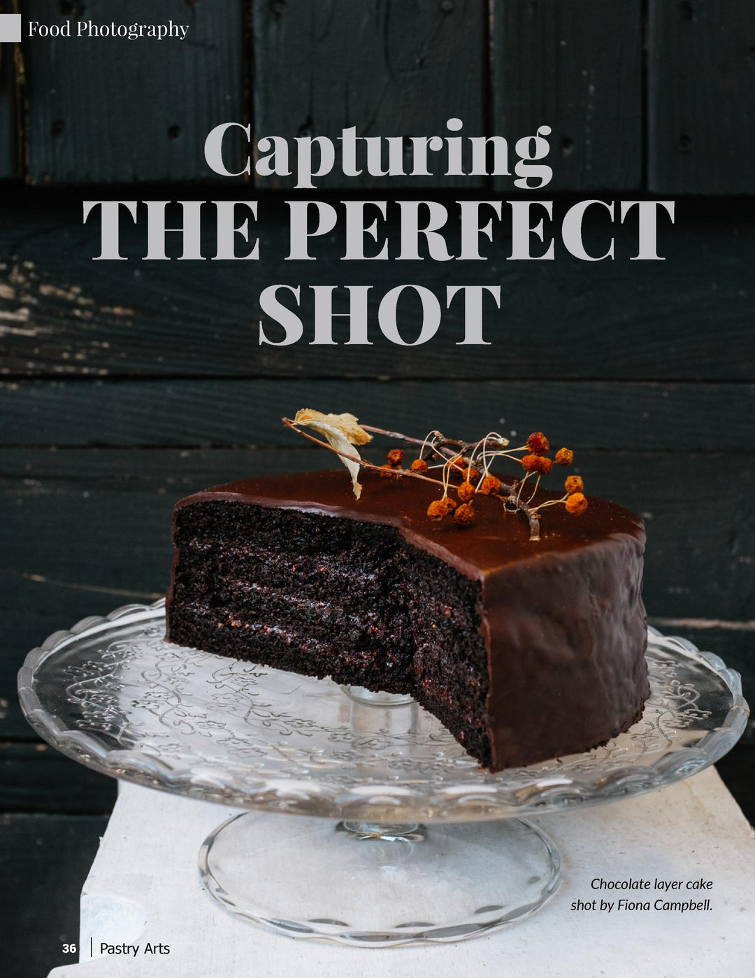 Issue 8: Surviving COVID-19 Special